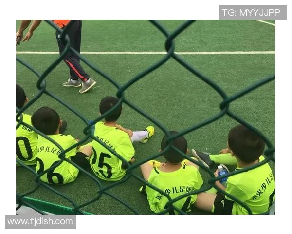 足球情深似海追梦旅途中的激情与坚持