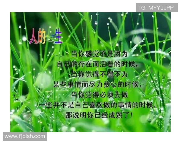 足球员智慧与激情的结晶经典语录带你领略足球的魅力与人生哲理 足球员智慧与激情的结晶经典语录带你领略足球的魅力与人生哲理