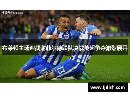 布莱顿主场迎战谢菲尔德联队决战英超争夺激烈展开